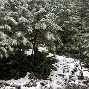 Spell,chasing unicorns and more make offers closet clear out!!